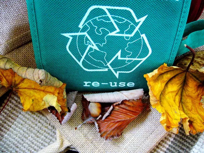 Zero waste – czyli świat bez odpadów